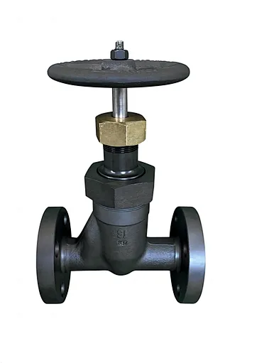 forged globe valve